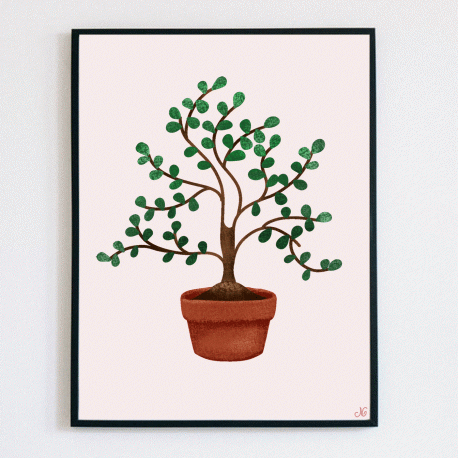 plantinpot